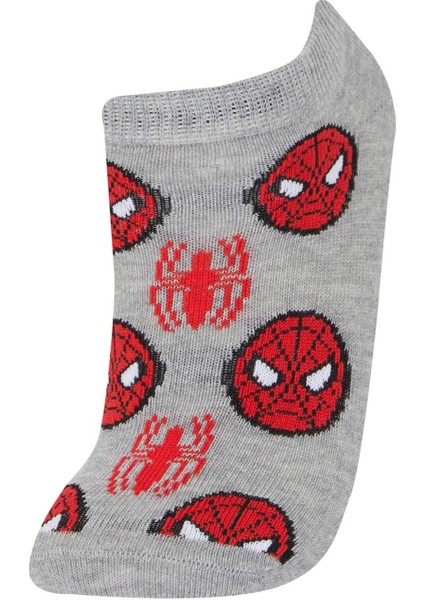 Erkek Çocuk Marvel Spiderman 3'lü Pamuklu Patik Çorap E5161A8NS