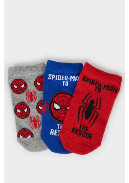 Erkek Çocuk Marvel Spiderman 3'lü Pamuklu Patik Çorap E5161A8NS