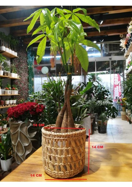 Çok amaçlı hasır sepet, saksılık ve dekor için 14 cm kahverengi, şık ve doğal görünüm fırsatları