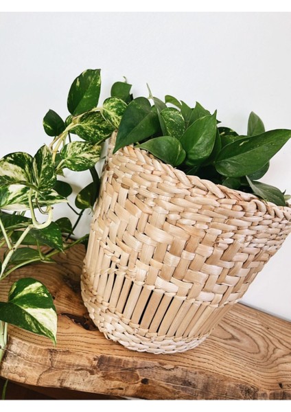 Şık Orta Boy Sarı Hasır Sepet, Ev ve Dekor İçin Harika Bir Seçenek fırsatları