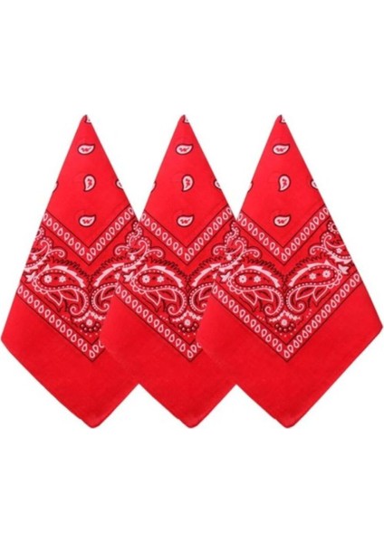 Şal Desenli, Etnik Desen Bandana Seti fiyatları