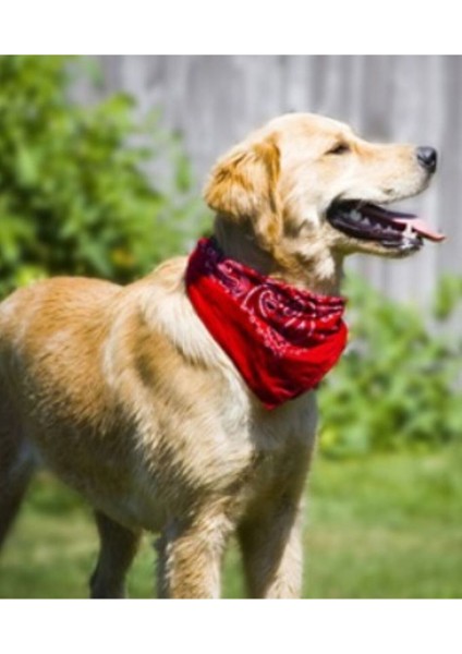 Şal Desenli, Etnik Desen Bandana Seti modelleri