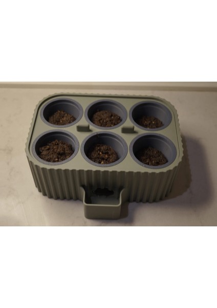 Kendini Suluyan Filizlendirici