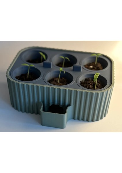 Kendini Suluyan Filizlendirici fırsatları