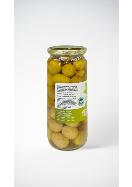Organik Yeşil Zeytin fiyatları