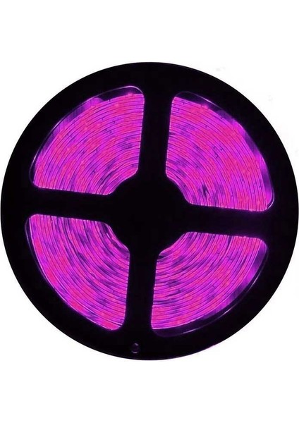 Pembe Şerit LED 10 Çipli Iç Mekan 5 Metre modelleri