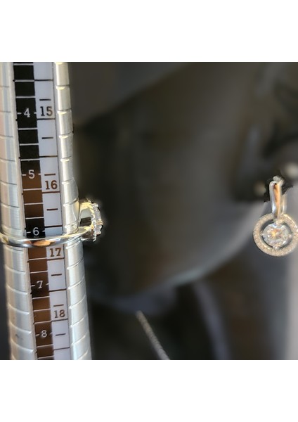 Halka Içinde Yuvarlak Zirkon Taşlı Set fiyatları