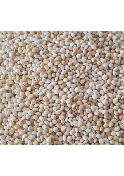 - Muhabbet Yemi Ak Darı - 10 kg (Tozsuz) modelleri