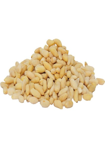 Dolmalık Helvalık Ithal Çam Fıstık 16 gr Paket