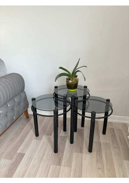 Yonca Zigon Sehpa Ahşap ve Metal Füme Cam Siyah