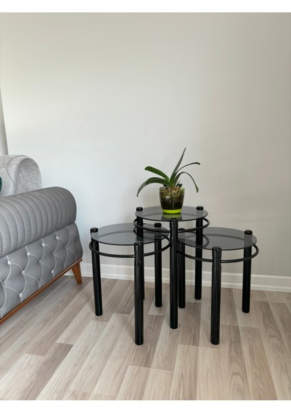 Yonca Zigon Sehpa Ahşap ve Metal Füme Cam Siyah fiyatları