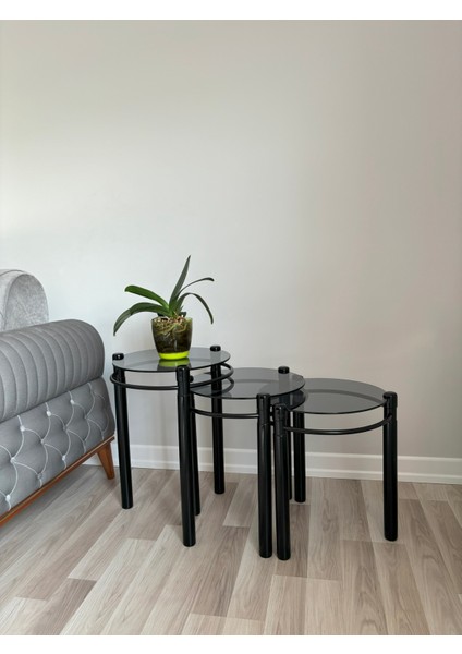 Yonca Zigon Sehpa Ahşap ve Metal Füme Cam Siyah fırsatları