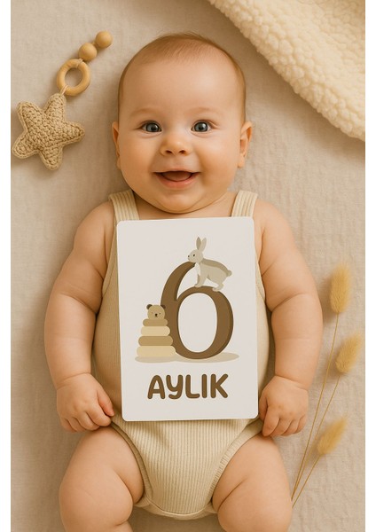 Aylık Bebek Anı Fotoğraf Kartları - Unisex Aylık 14 Adet Fotoğraf Çekim Kartı