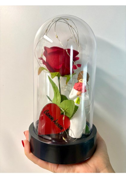 Anneler Günü Özel Ledli Fanusta Kırmızı Gül Konsept Hediye modelleri
