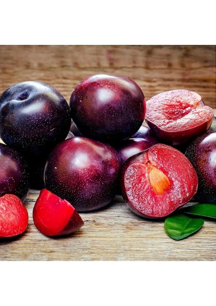 Anjelika Erik Fidanı 100-150 cm – Meyve Veren, Yüksek Verimli, Ba