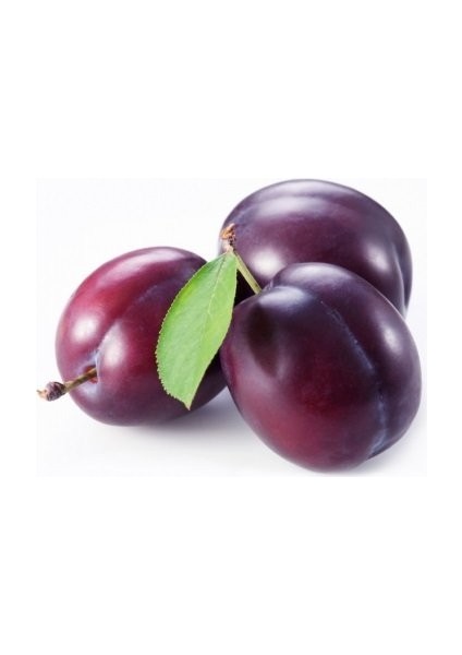 Anjelika Erik Fidanı 100-150 cm – Meyve Veren, Yüksek Verimli, Ba modelleri