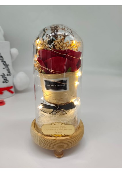 Kişiye Özel Isimli Anneler Günü Işıklı Fanus Dekoratif Kırmızı Solmayan Gül Premium modelleri