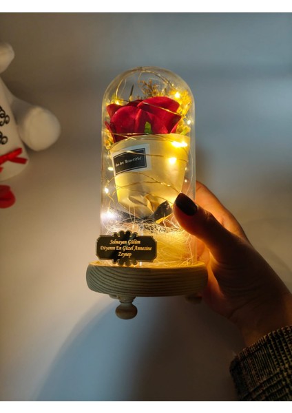 Kişiye Özel Isimli Anneler Günü Işıklı Fanus Dekoratif Kırmızı Solmayan Gül Premium fırsatları
