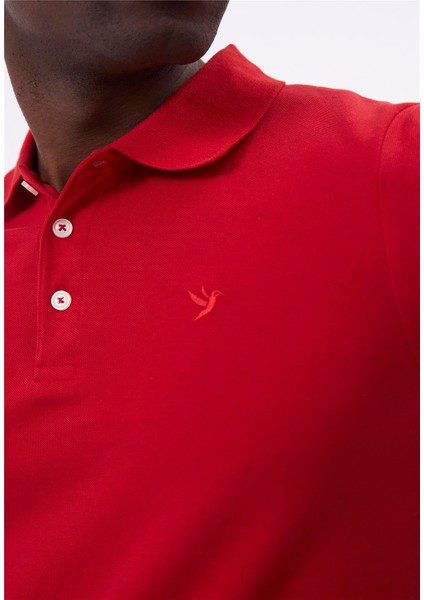 Erkek Kısa Kol Polo T-Shirt