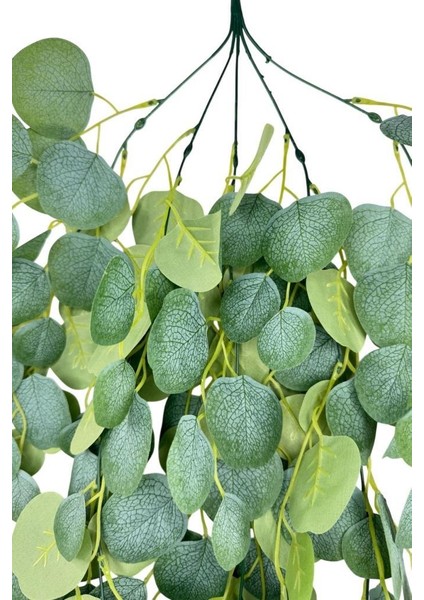 Yapay Çiçek Sarkan Pastel Lüx Okaliptus Büyük Yapraklı Yapay Sarmaşık 75*40CM fırsatları