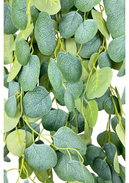 Yapay Çiçek Sarkan Pastel Lüx Okaliptus Büyük Yapraklı Yapay Sarmaşık 75*40CM indirimleri