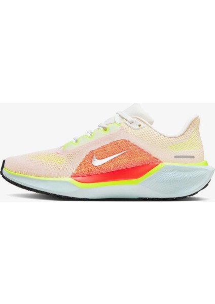 Zoom Pegasus 41 Kadın Renkli Koşu Ayakkabısı Fd2723-100