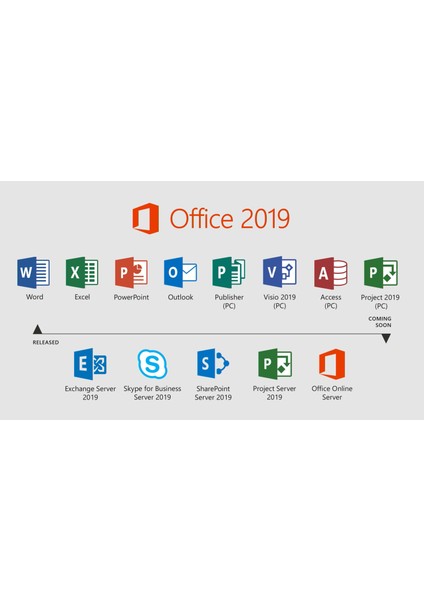 Office 2019 Professional Plus Key Lisans Anahtarı Ömür Boyu (BİND)