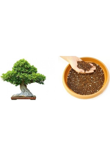 Bonsai Toprağı 20 Lt