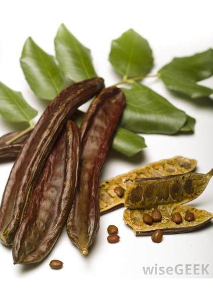 Keçiboynuzu Harput Fidanı Ceratonia Siliqua 2 Adet