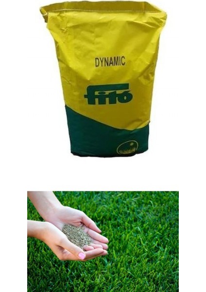 Çim Tohumu Lolium 25000 gr Fito Dynamic 4 Karışım modelleri