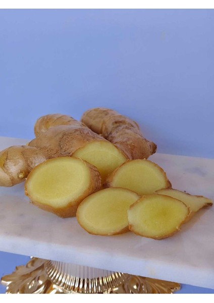 Taze Zencefil 100 gr fiyatları