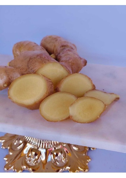 Taze Zencefil 100 gr indirimleri