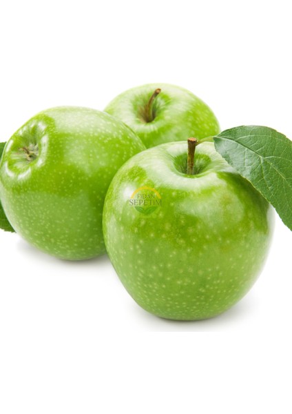 4 Yaş Aşılı Granny Smith Elma Fidanı *yarı Bodur* modelleri