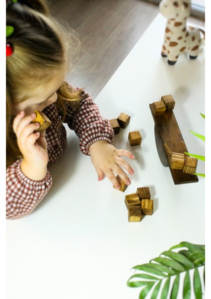 Montessori Ahşap Küp Denge Oyunu -Strateji, El Becerisi ve Eğlenceyi Birleştiren Çocuk ve Aile Oyunu