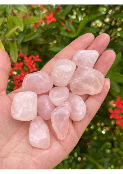Pembe Kuvars Doğal Taş Tımbıl (1 Adet) Cessnova