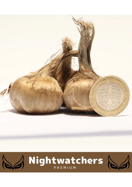 Deluxe Özel Dikime Hazır Yerli Üretim Büyük Boy Kalite Safranbolu Safran Bitkisi Soğanı - 5 Adet fiyatları