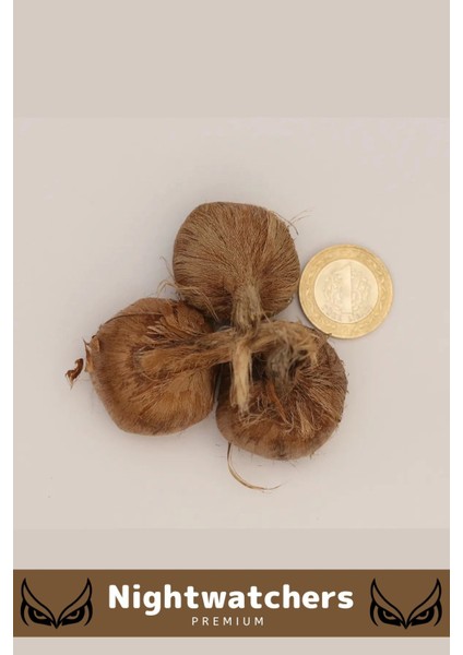 Deluxe Özel Dikime Hazır Yerli Üretim Büyük Boy Kalite Safranbolu Safran Bitkisi Soğanı - 5 Adet fırsatları