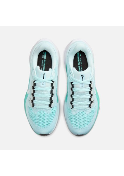 Air Zoom Pegasus 41 Road Running Kadın Spor Ayakkabı Fd2723-401