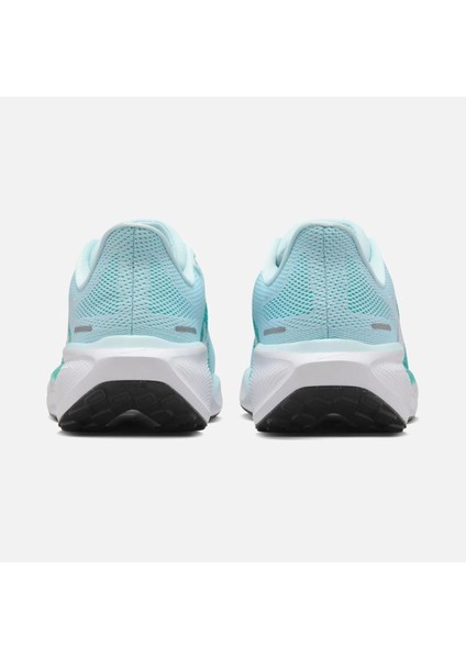 Air Zoom Pegasus 41 Road Running Kadın Spor Ayakkabı Fd2723-401