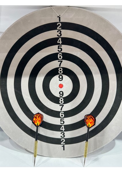 Yüksek Kalite Profesyonel Büyük Boy Dart Seti Mega Dart Tahtası 18INCH Hedef Tahtası Özel Yapım