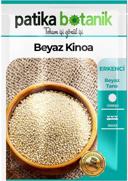 100 Adet Beyaz Kinoa Tohumu fiyatları