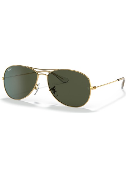 Rayban RB3362 C.001 59-14 Güneş Gözlüğü fiyatları