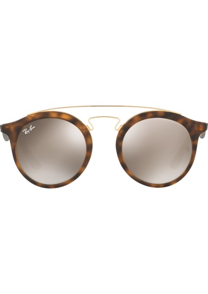 Rayban RB4256 C.6092/5A Güneş Gözlüğü