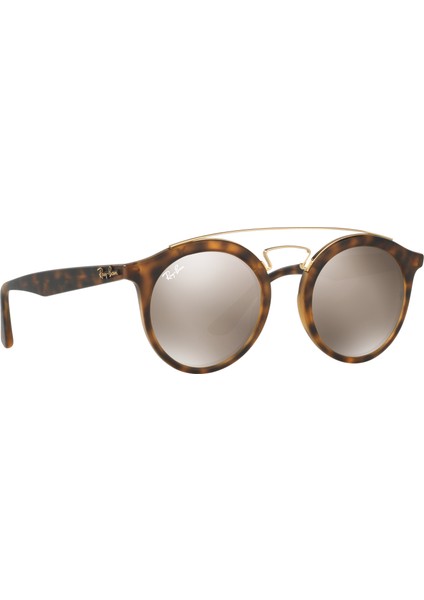 Rayban RB4256 C.6092/5A Güneş Gözlüğü