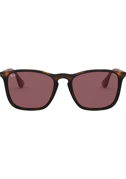 Rayban RB4187 C.6391/75 54-18 Güneş Gözlüğü