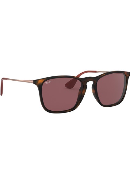 Rayban RB4187 C.6391/75 54-18 Güneş Gözlüğü modelleri