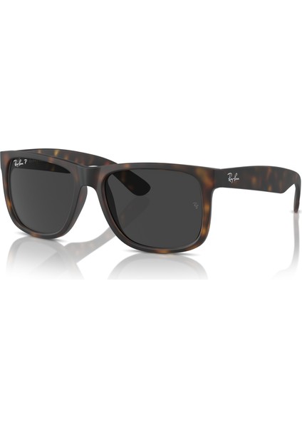 Rayban RB4165 C.865/87 54-16 Güneş Gözlüğü fiyatları