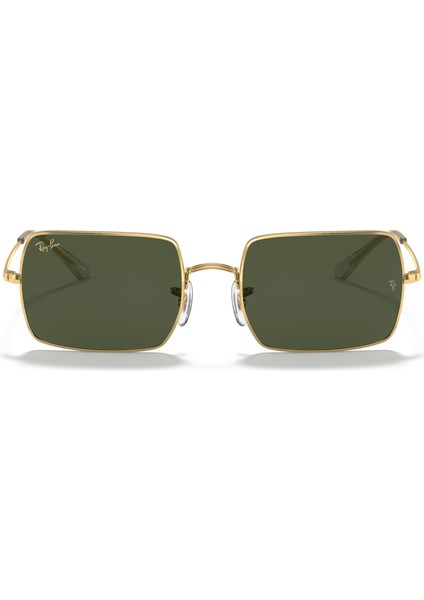 Rayban RB1969 C.9196/31 54-19 Güneş Gözlüğü