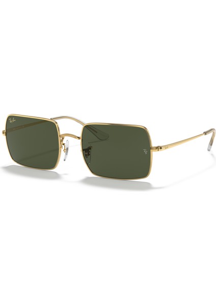 Rayban RB1969 C.9196/31 54-19 Güneş Gözlüğü fiyatları