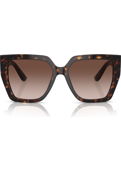 Dolce Gabbana DG4438 C.502/13 55-17 Güneş Gözlüğü